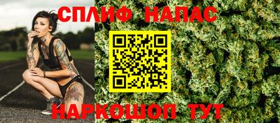 шишки Нарткала
