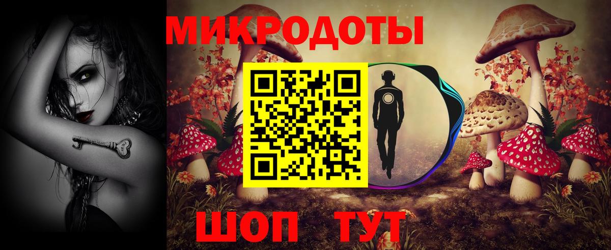 Псилоцибиновые грибы прущие грибы Кондопога